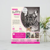 Französische Bulldogge Flyer Lila (Stehend Vorderseite)