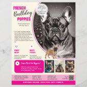 Französische Bulldogge Flyer Lila (Vorderseite)