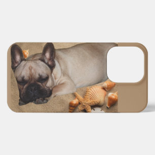 Französische Bulldogge Freizeit French Bulldog iPhone 13 Pro Hülle