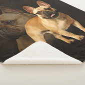 Französische Bulldogge - Frenchie - Brown kariert Sherpadecke (3/4)