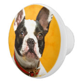 Französische Bulldogge - Frenchie Hund Keramikknauf (Rechts)