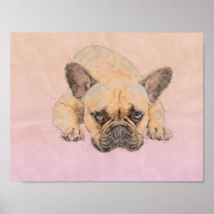 Französische Bulldogge - Frenchie Hund Poster