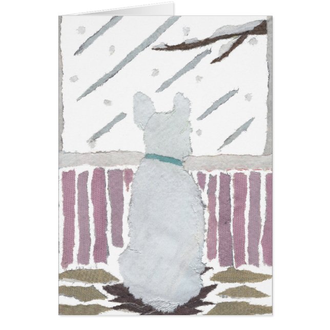 Französische Bulldogge, Frenchie, Schnee, Winter, (Vorne)