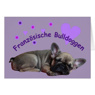Französische Bulldogge Geburtstag French Bulldog