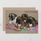 Französische Bulldogge Geburtstag French Bulldog (Vorne/Hinten)