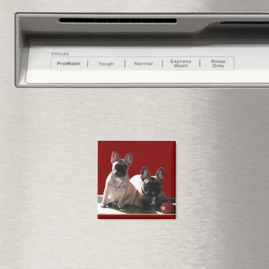 Französische Bulldogge Geburtstag French Bulldog Magnet (In Situ (Geschirrspüler))