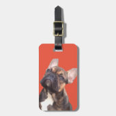 Französische Bulldogge Gepäckanhänger (Vorderseite vertikal)