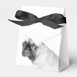 Französische Bulldogge Geschenkschachtel