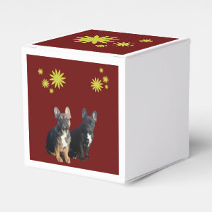 französische Bulldogge Geschenkschachtel