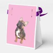 französische Bulldogge Geschenkschachtel (Rückseite)