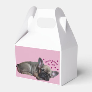 Französische Bulldogge   Geschenkschachtel