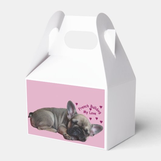 Französische Bulldogge Geschenkschachtel (Rückseite)