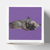 französische Bulldogge Geschenkschachtel (Oben)