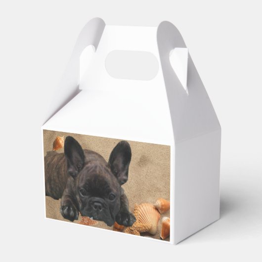 französische Bulldogge Geschenkschachtel (Rückseite)