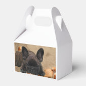 französische Bulldogge Geschenkschachtel (Vorderseite)