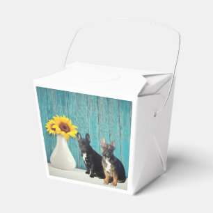 französische Bulldogge Geschenkschachtel