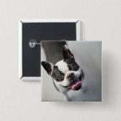 Französische Bulldogge Getty Bild-| Button (Vorne & Hinten)