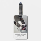 Französische Bulldogge Getty Bild-| Gepäckanhänger (Rückseite vertikal)