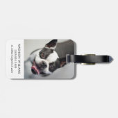 Französische Bulldogge Getty Bild-| Gepäckanhänger (Rückseite horizontal)