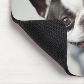 Französische Bulldogge Getty Bild-| Mousepad (Ecke)
