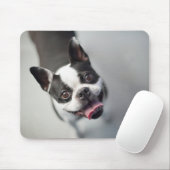 Französische Bulldogge Getty Bild-| Mousepad (Mit Mouse)