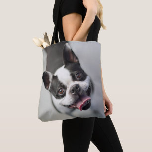 Französische Bulldogge Getty Bild-  Tasche