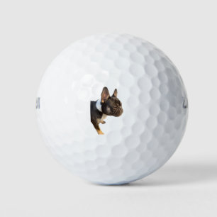 Französische Bulldogge Golfball