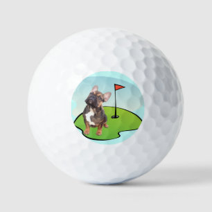 Französische Bulldogge Golfplatz French Bulldog Golfball