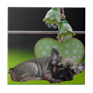 Französische Bulldogge Grünes Herz French Bulldog Fliese