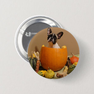 Französische Bulldogge Halloween French Bulldog Button