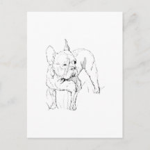 Französische Bulldogge – handgezeichnete Hundeillu