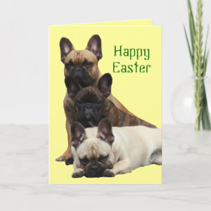 Französische Bulldogge Happy Easter French Bulldog Feiertagskarte