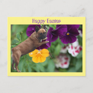 Französische Bulldogge Happy Easter French Bulldog Postkarte
