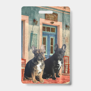 Französische Bulldogge Haus French Bulldog  Ausweis