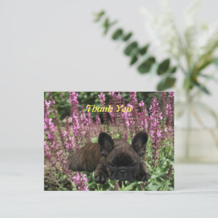 Französische Bulldogge Herz French Bulldog Postkarte