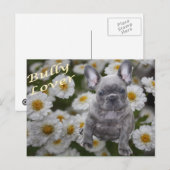 Französische Bulldogge Herz French Bulldog Postkarte (Vorne/Hinten)