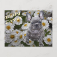 Französische Bulldogge Herz French Bulldog