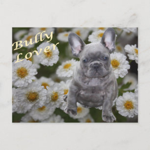 Französische Bulldogge Herz French Bulldog Postkarte
