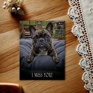 Französische Bulldogge-Ich-vermisse-dich-Postkarte Postkarte