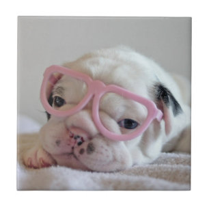 Französische Bulldogge in den Herz-Gläsern Fliese