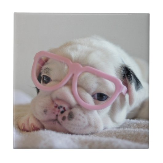 Französische Bulldogge in den Herz-Gläsern Fliese (Vorderseite)