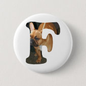Französische Bulldogge in F Button (Vorderseite)