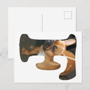 Französische Bulldogge in F Postkarte