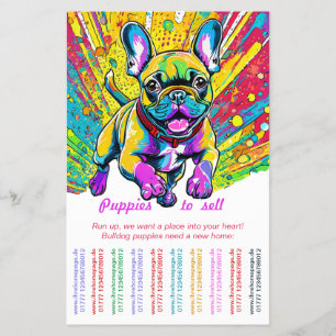 Französische Bulldogge in Ihr Zuhause Flyer