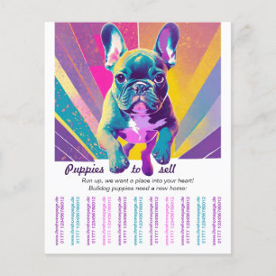 Französische Bulldogge in Ihr Zuhause Flyer