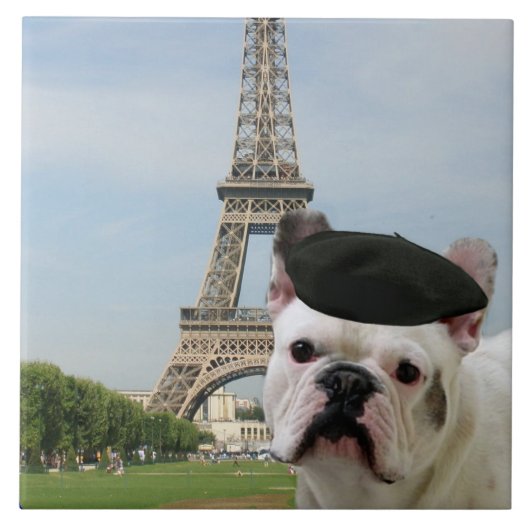 Französische Bulldogge in Paris Fliese (Vorderseite)