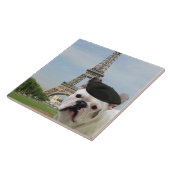 Französische Bulldogge in Paris Fliese (Seite)
