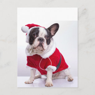 Personalisierte Weihnachtskarte Mit Bulldogge – A5, Individuell Beschriftbar, Inkl. Umschlag – Perfektes Geschenk