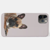 Französische Bulldogge iPhone 11 Pro Max Hülle (Rückseite (Horizontal))