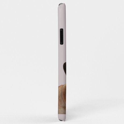 Französische Bulldogge iPhone 11 Pro Max Hülle (Hinten/Rechts)